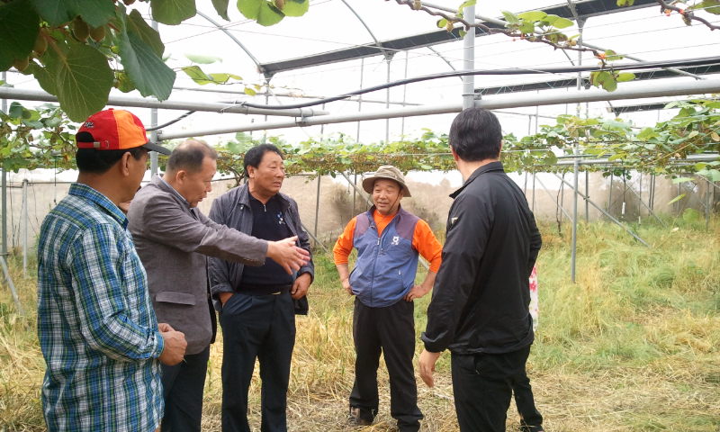 강소농 육성을 위한 키위재배기술컨설팅 현장